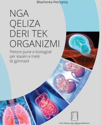 Z3-04b. NGA QELIZA DERI TEK ORGANIZMI – 3