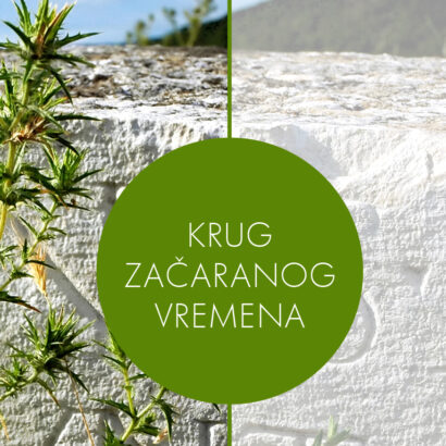 KRUG ZAČARANOG VREMENA