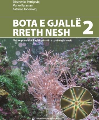 Z2-04b. BOTA E GJALLË RRETH NESH 2 – 2