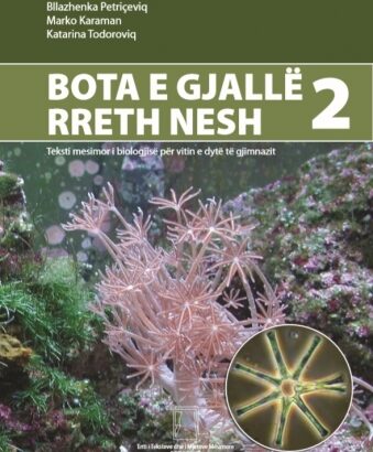 Z2-04a. BOTA E GJALLË RRETH NESH 2 – 2